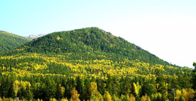 新疆喀纳斯风光