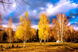 新疆喀纳斯风光