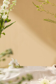 小清新暖色背景