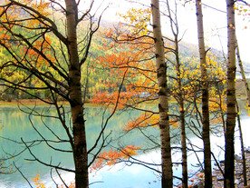 新疆喀纳斯风光