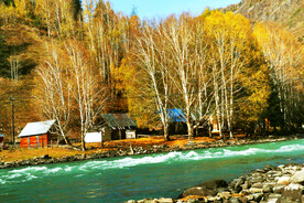 新疆喀纳斯风光