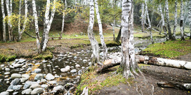 新疆喀纳斯风光