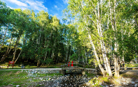 新疆喀纳斯风光