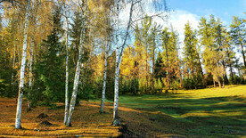 新疆喀纳斯风光