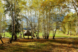 新疆喀纳斯风光