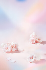 渐变樱花背景