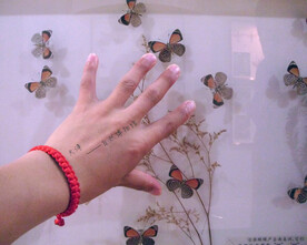 天津自然博物馆