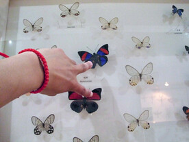 天津自然博物馆