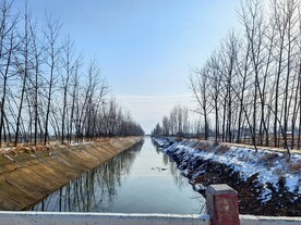 乡村小河雪景树枝