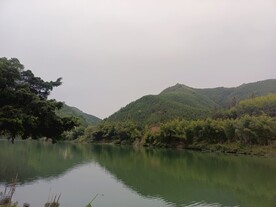 青山 绿水