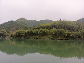 青山 绿水
