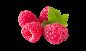 水果素材 覆盆子 免抠图片