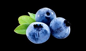 水果素材 蓝莓 免抠图片