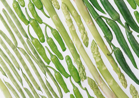 芦笋