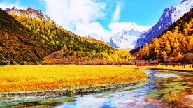 四川稻城亚丁风光