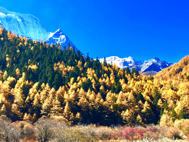 四川稻城亚丁风光