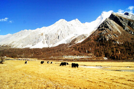 四川稻城亚丁风光