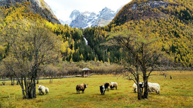 四川稻城亚丁风光