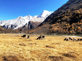 四川稻城亚丁风光
