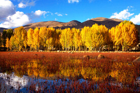 四川稻城亚丁风光