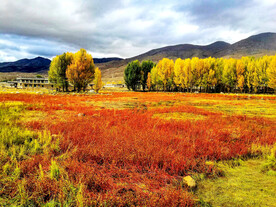 四川稻城亚丁风光