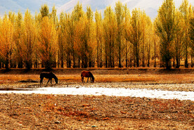 四川稻城亚丁风光