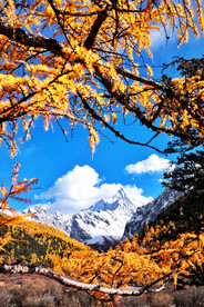 四川稻城亚丁风光