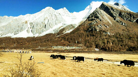 四川稻城亚丁风光