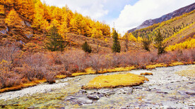 四川稻城亚丁风光