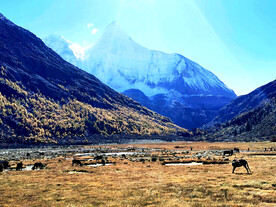 四川稻城亚丁风光