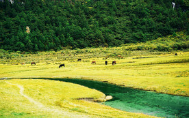 四川稻城亚丁风光