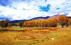 四川稻城亚丁风光