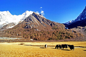 四川稻城亚丁风光