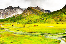 四川稻城亚丁风光