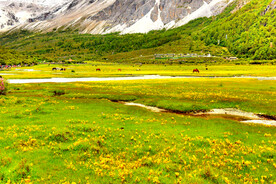 四川稻城亚丁风光