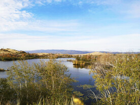 新疆阿勒泰风光