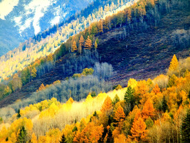 新疆阿勒泰风光