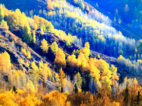 新疆阿勒泰风光