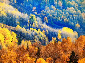 新疆阿勒泰风光