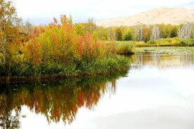 新疆阿勒泰风光
