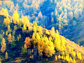 新疆阿勒泰风光