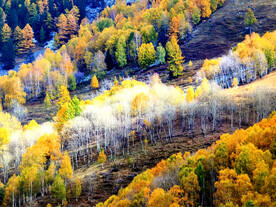 新疆阿勒泰风光