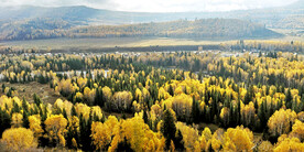 新疆阿勒泰风光