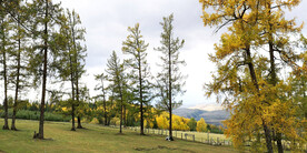 新疆阿勒泰风光
