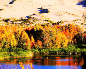 新疆阿勒泰风光