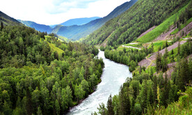 新疆阿勒泰风光