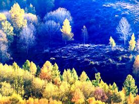 新疆阿勒泰风光