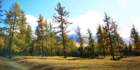 新疆阿勒泰风光