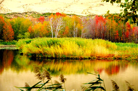 新疆阿勒泰风光