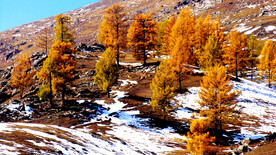 新疆阿勒泰风光